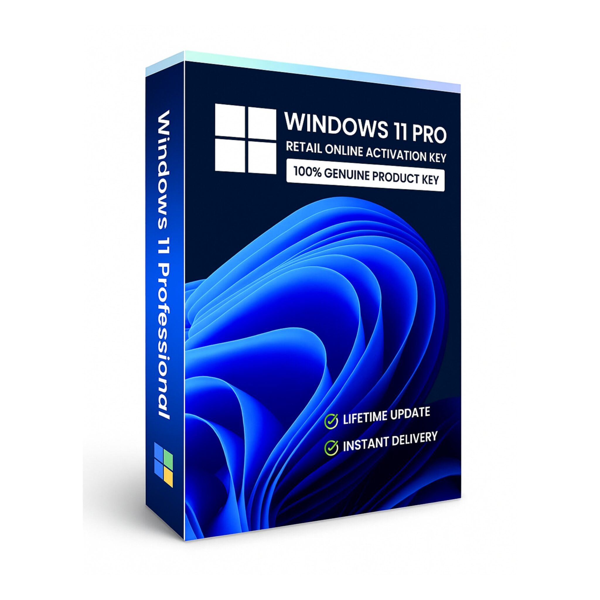 Windows 11 Pro